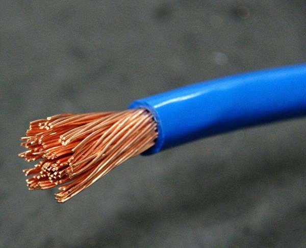 BVRBB��������ɭ�ٷ���վ����