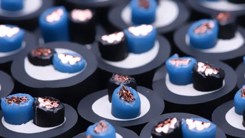 BB��������ɭ�ٷ���վ���½�������ӳ�����ʹ������