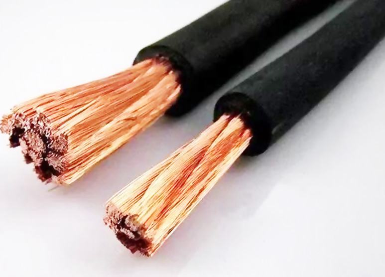 BB��������ɭ�ٷ���վ ���� ����